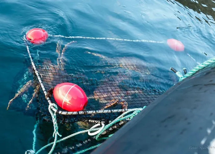 Camp Nordkapp - Basecamp Кемпинг Скарсваг