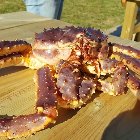 Camping Camp Nordkapp - Basecamp Skarsvåg